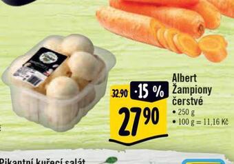 Albert Žampiony nabídka