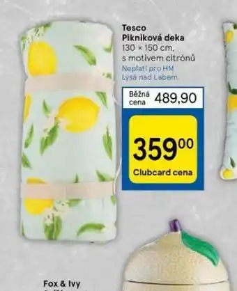 Tesco Tesco pikniková deka nabídka