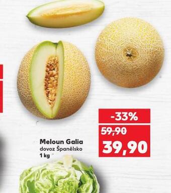 Meloun galia