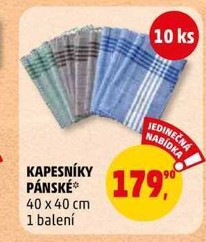 Penny Market Kapesníky pánské, 10 ks nabídka