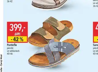 Globus Pánské pantofle nabídka