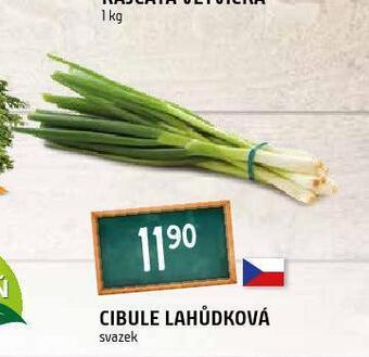 Terno Cibule lahůdková nabídka