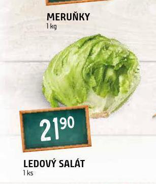 Terno Ledový salát nabídka