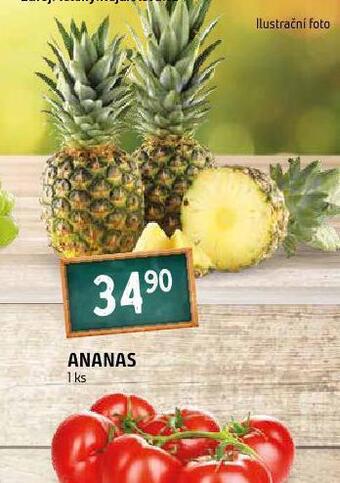 Terno Ananas nabídka