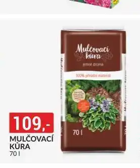 Baumax Mulčovací kůra nabídka
