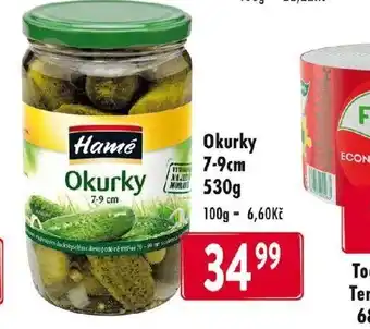 Qanto Okurky 7-9cm nabídka