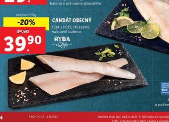 Lidl Candát obecný nabídka