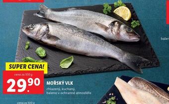 Lidl Mořský vlk nabídka