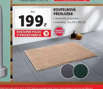 Koupelnová předložka