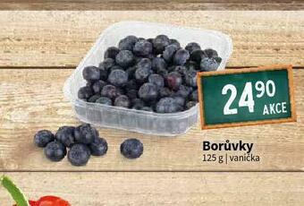 Terno Borůvky nabídka