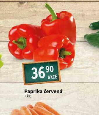 Terno Paprika červená nabídka