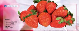 Makro JAHODY nabídka