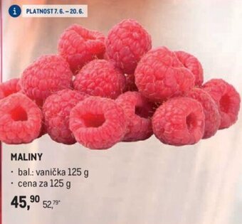 Makro MALINY nabídka