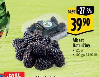 Albert Ostružiny nabídka