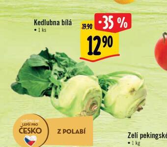 Albert Kedlubna nabídka