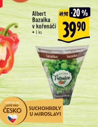 Albert Bazalka v kořenáči nabídka