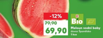 Kaufland Meloun vodní baby nabídka