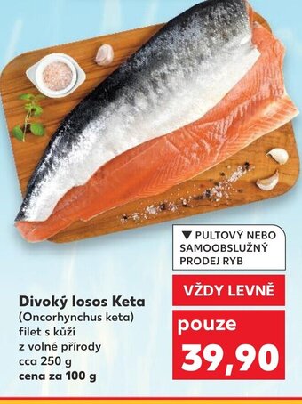 Kaufland Divoký losos Keta nabídka