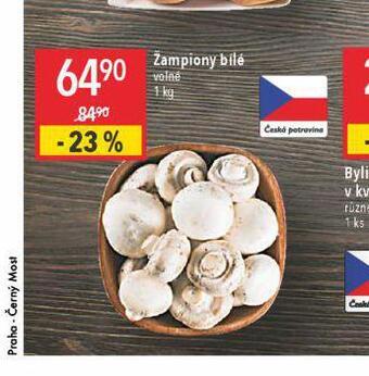 Globus Žampiony bílé nabídka