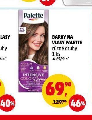 Penny Market Palette barva na vlasy nabídka
