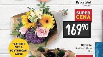 Billa Kytice letní nabídka