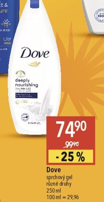 Globus Dove nabídka
