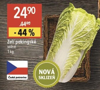 Zelí pekingské volné