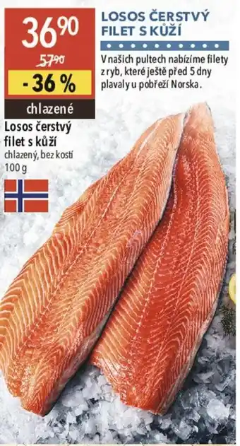 Globus LOSOS ČERSTVÝ FILET S KŮŽÍ nabídka
