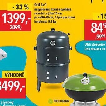 Globus Gril 3v1 nabídka