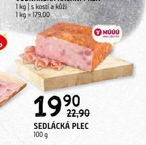 Terno Sedlácká plec nabídka