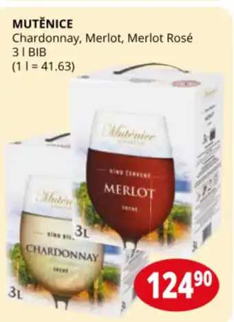 Flop MUTĚNICE Chardonnay, Merlot, Merlot Rosé nabídka