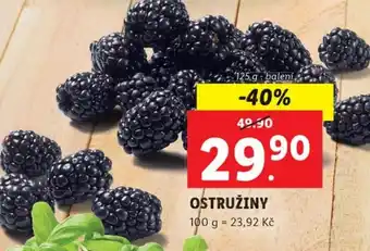 Lidl OSTRUŽINY nabídka