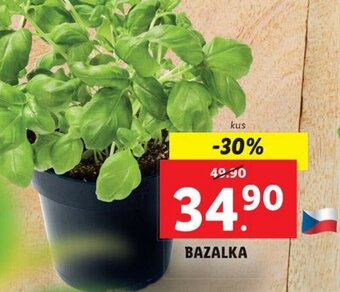 BAZALKA