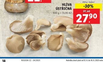 Lidl HLÍVA ÚSTŘIČNÁ nabídka