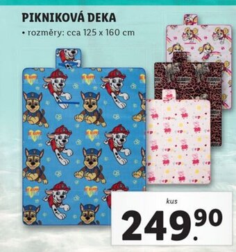 Lidl PIKNIKOVÁ DEKA nabídka