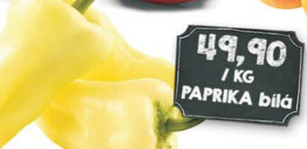 Jip PAPRIKA bílá nabídka