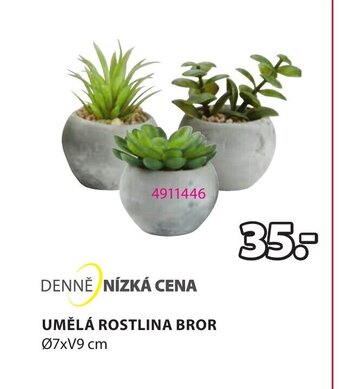 JYSK UMĚLÁ ROSTLINA BROR 07xV9 cm nabídka