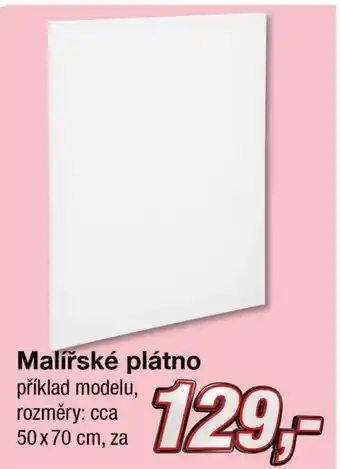 Malířské plátno příklad modelu, rozměry: cca 50 x 70 cm, za