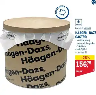 Makro HÄAGEN-DAZS GASTRO • vanilka, slaný karamel, belgická čokoláda nabídka
