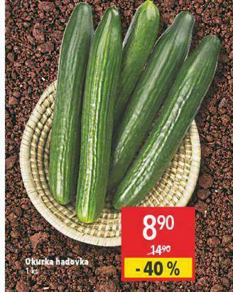 Globus Okurka hadovka nabídka