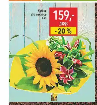 Globus Kytice slunečnice nabídka