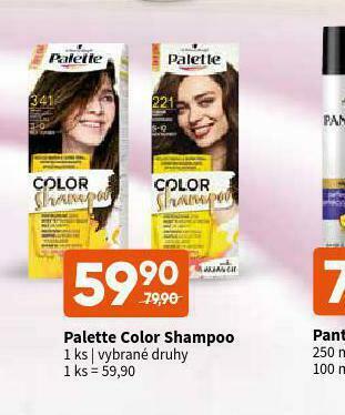 Terno Palette color shampoo nabídka