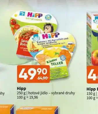 Terno Hipp jotové jídlo nabídka