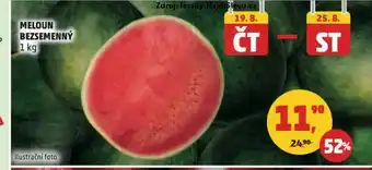Penny Market Meloun bezsemenný nabídka