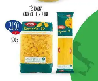 Terno Těstoviny gnocchi, liguine nabídka