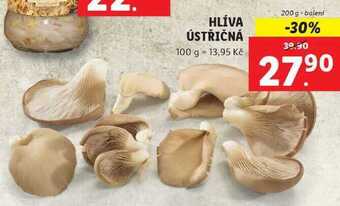 Lidl Hlíva ústřičná, 200 g nabídka