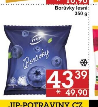 Jip Borůvky lesní: nabídka