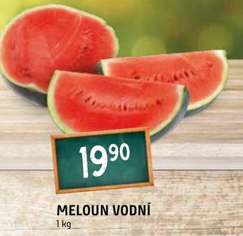 Terno MELOUN VODNÍ nabídka