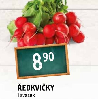 Terno ŘEDKVIČKY nabídka