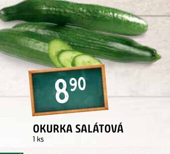 Terno OKURKA SALÁTOVÁ nabídka